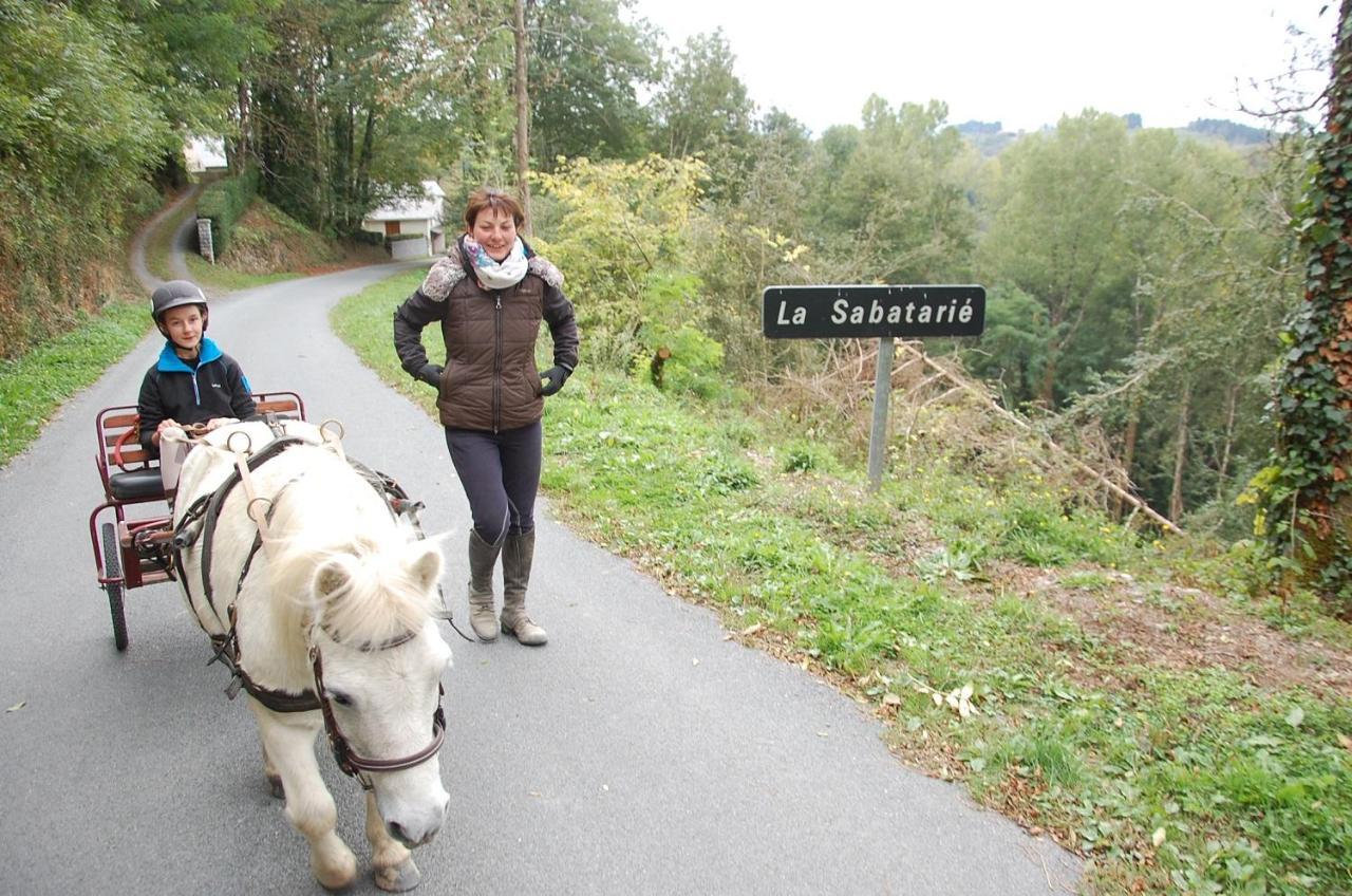 Les Ecuries De La Sabatarie Hotel Cambounes Buitenkant foto